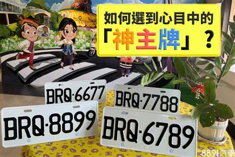 車牌3|公共交通及駕駛事務